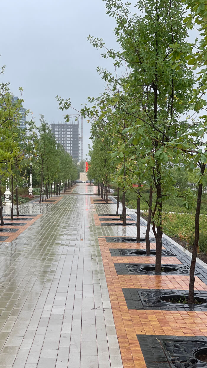 Приствольная решетка для дерева ZKING CRUST 1.2х1.2м Черная в Новочеркасске фото