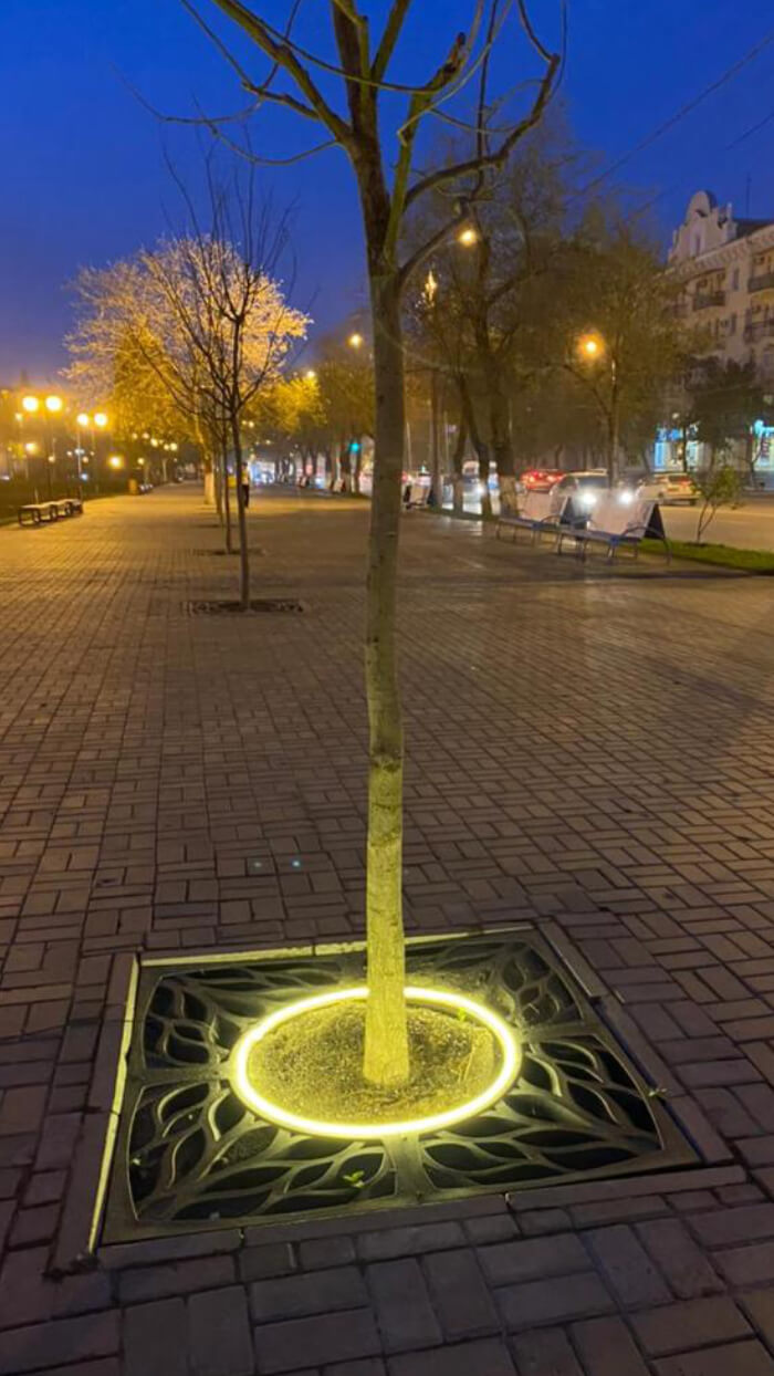 Приствольная решетка для дерева ZKING CRUST 1.2х1.2м Черная в Новочеркасске фото